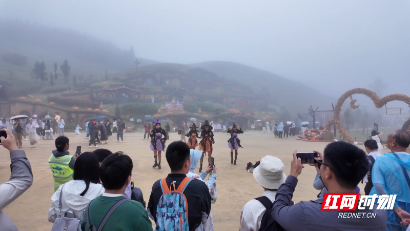 高山草原风, 在当周, 白天游草原 高山草原风, 在当周, 白天游草原